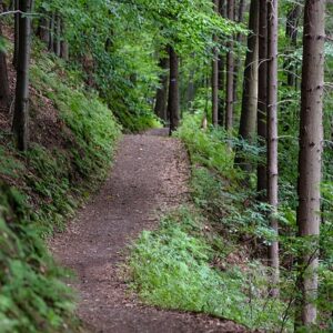 Esplorando il Parco San Bartolo: Un’Avventura tra Romagna e Marche